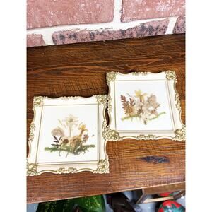 Vintage 1950s Plastic Frame Austria Dried Flowers Baby Flowers